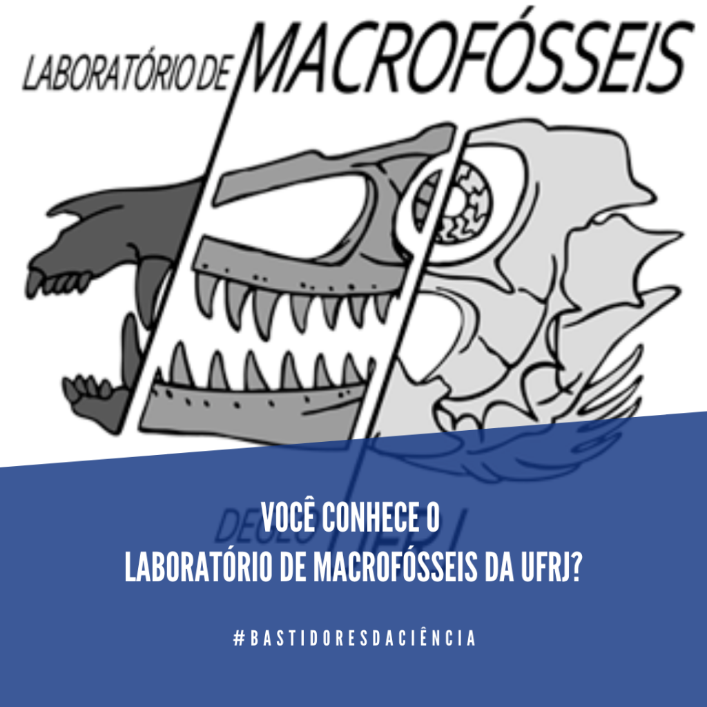  Logo em fundo branco de um crânio segmentado e formado por três animais diferentes. Acima do desenho se lê “Laboratório de Macrofósseis” em letras pretas. Abaixo, faixa azul com texto branco em que se lê “Você conhece o laboratório de Macrofósseis da UFRJ?” e a hashtag bastidores da ciência.