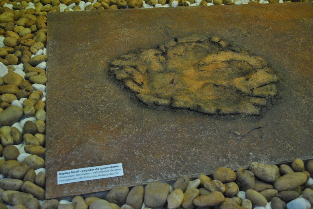 Imagem de um fóssil de pegada de dinossauro.