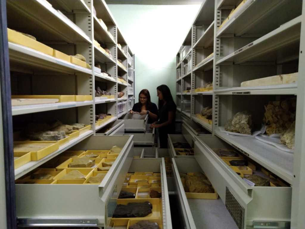 Duas mulheres no meio de uma sala repleta de estantes com fósseis guardados em prateleiras e gavetas abertas.